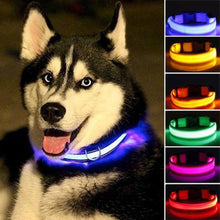 Load image into Gallery viewer, LED Pet dog Collar,Night Safety