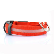 Load image into Gallery viewer, LED Pet dog Collar,Night Safety