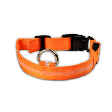 Load image into Gallery viewer, LED Pet dog Collar,Night Safety
